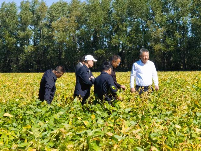 胡喜平：喜看豆菽满平冈j9国际【致敬奋斗者】(图2)