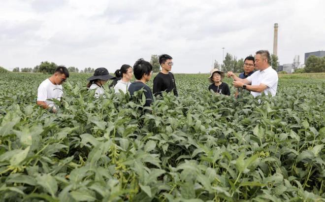 胡喜平：喜看豆菽满平冈j9国际【致敬奋斗者】(图3)