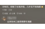 乳动物!看完分享直接颠覆认知笑到停不下来